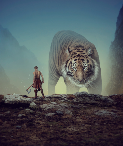 Ожидание битвы