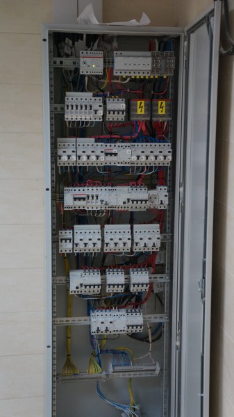 pic2696324.jpg