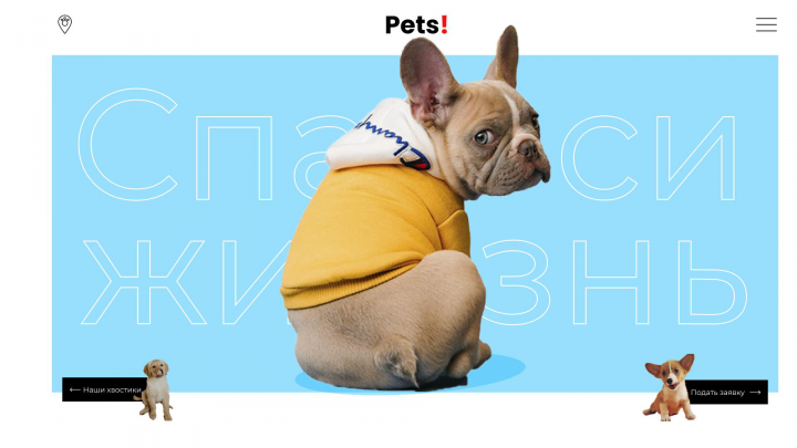 Приют для животных.