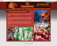 Cs-guangzhou