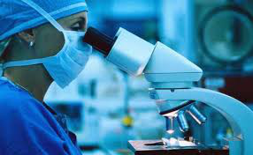 О компании: ДНК-анализ