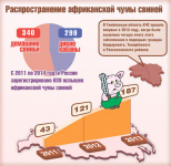 Чума свиней