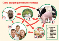 Про болезни