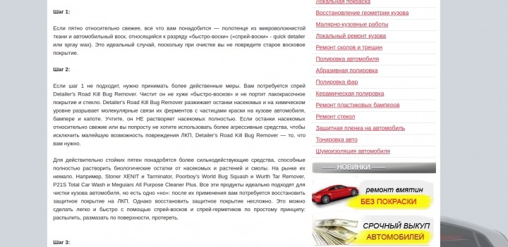 Как очистить кузов от насекомых и смол
