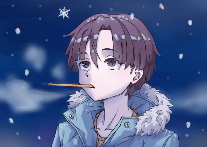 Ночной снегопад