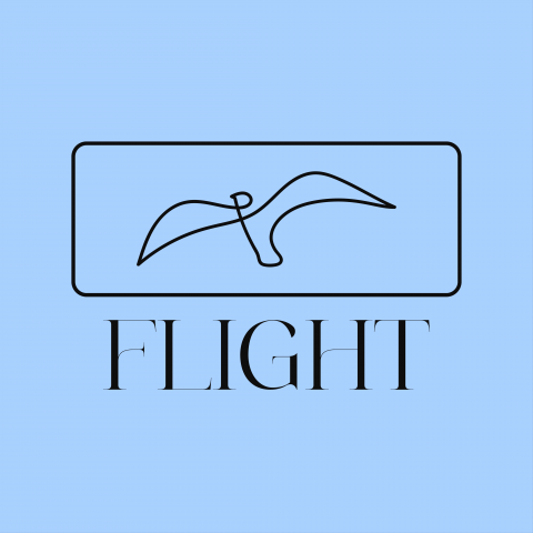 Flight