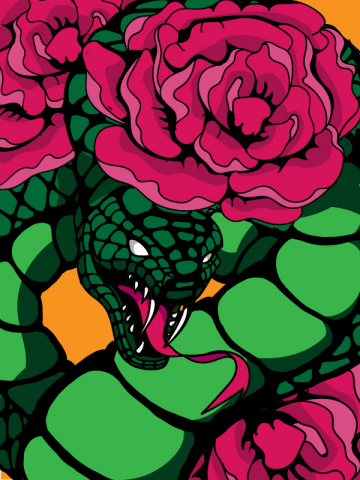 Illustration "Snake and peony"
