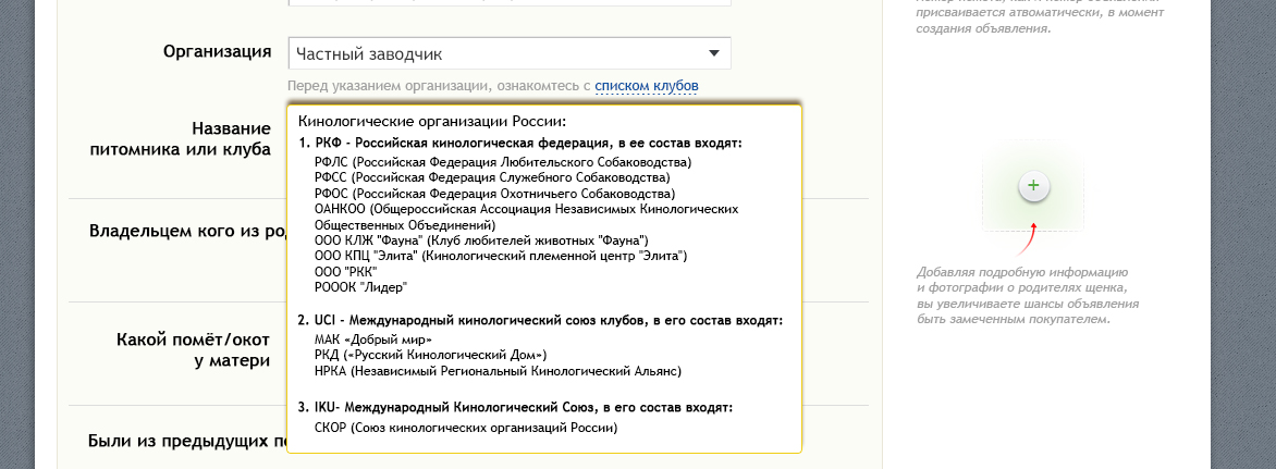 список_клубов.jpg