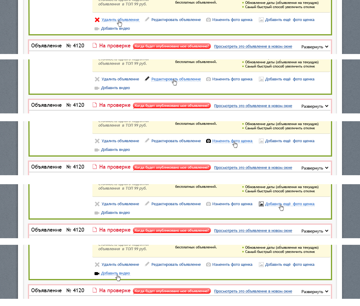 редакторы объявления.jpg