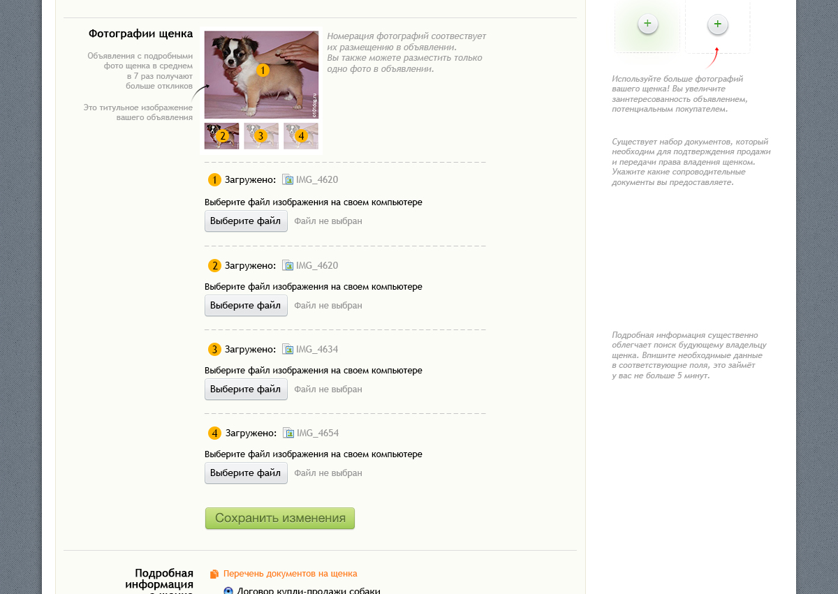 редактирование только фото щенка.jpg