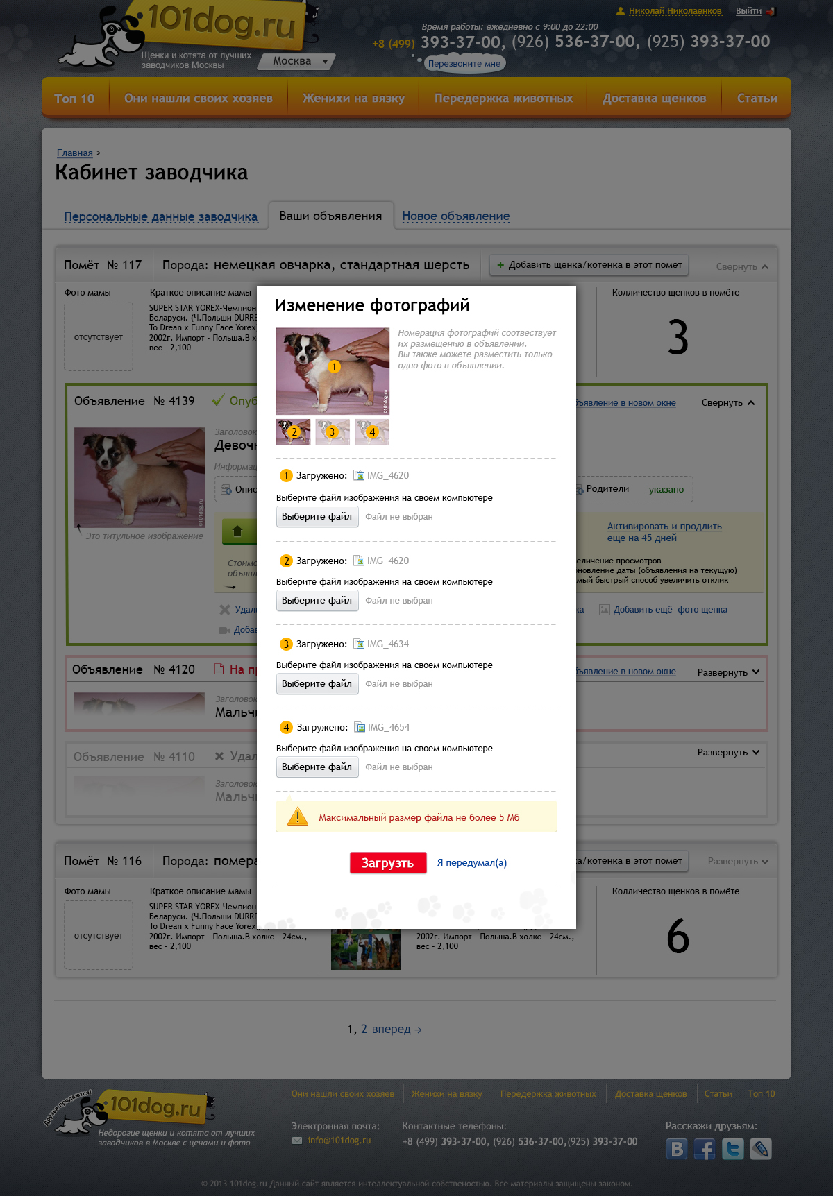 изменить фото щенка - загрузили много фото.jpg