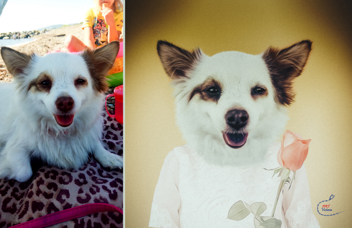 Портрет собаки