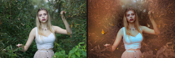 Художественная обработка