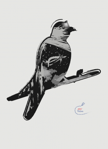 Рисунок птицы
