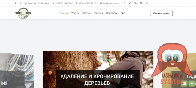 Сайт услуг по удалению и спилу деревьев