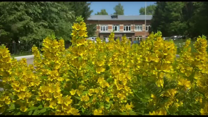 Второе видео для юбилея техникума