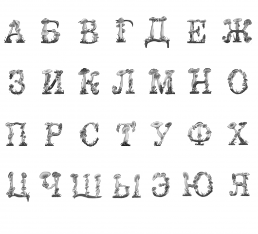 Грибы