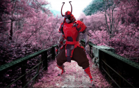 samurai sakura