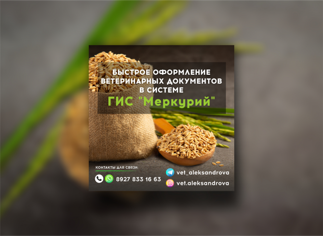Дизайн рекламы для Телеграм канала