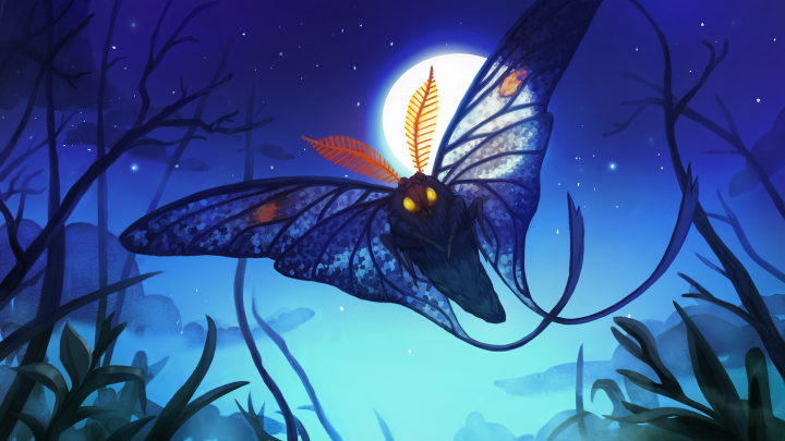 moth