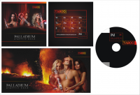 Оформление диска группы "PALLADIUM"