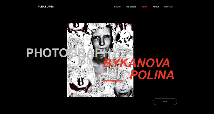 Artist Portfolio
