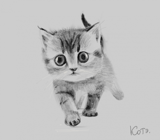 рисунок