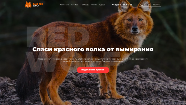 Red Wolf