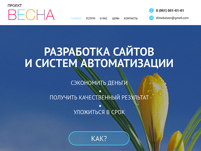 Одностраничник компании по ведению интернет-проектов, 2013 г.