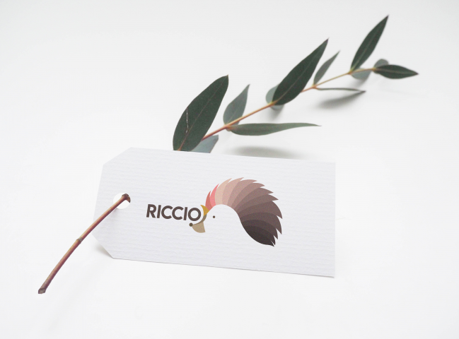 Конкурсная работа. Логотип для магазина "Riccio"
