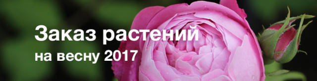 Заказ растений