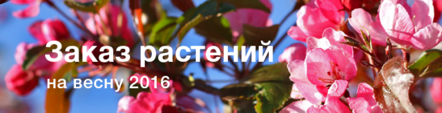 Заказ растений