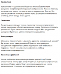 Описание цветов для интернет магазина