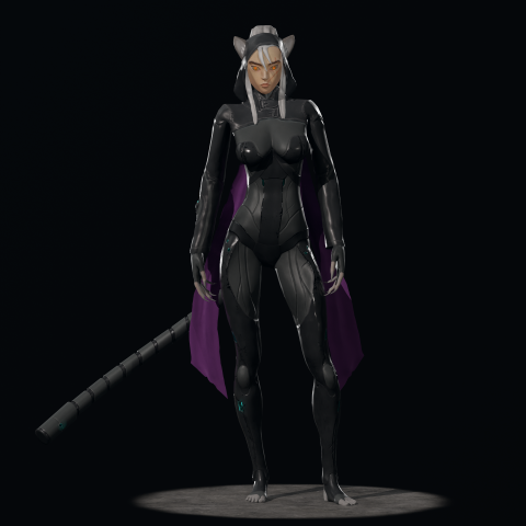 Кибер кошка ниндзя