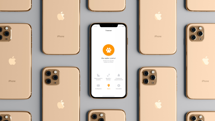 Приложение для iOs "Мы идем гулять!"