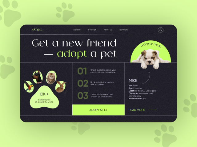 Дизайн концепт 1 страницы сайта