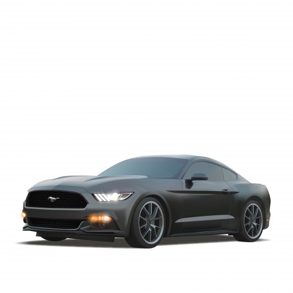 pic4307902.jpg