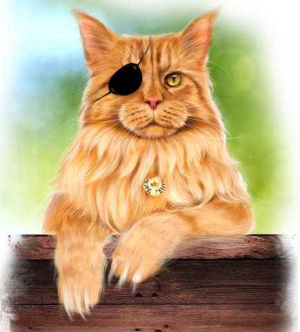 Кот Генри