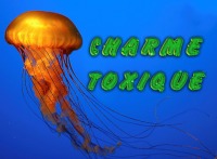 Название Салона красоты