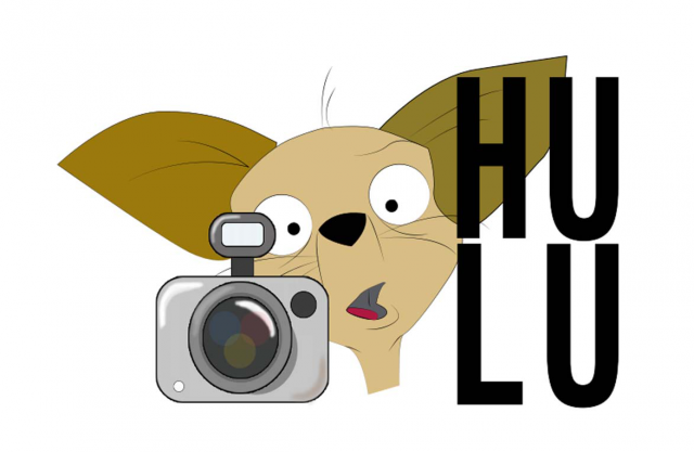 logo HULU