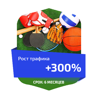 Интернет-магазин спортивных товаров "Планета спорта"