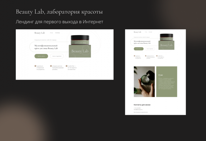 Лендинг для первого выхода в Интернет