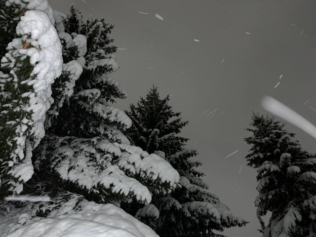 Работа 4444064