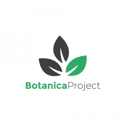 Логотип Botanica Project
