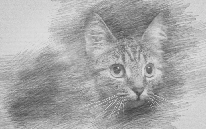 Эффект 'Рисунок карандашом'