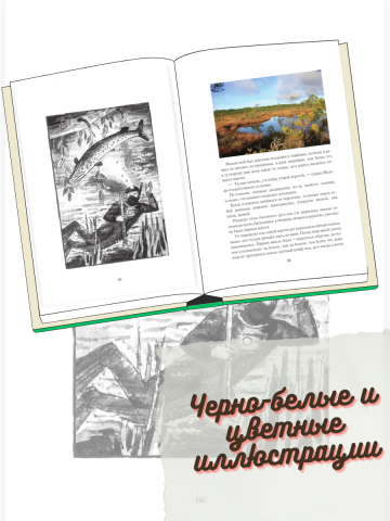 Книга,