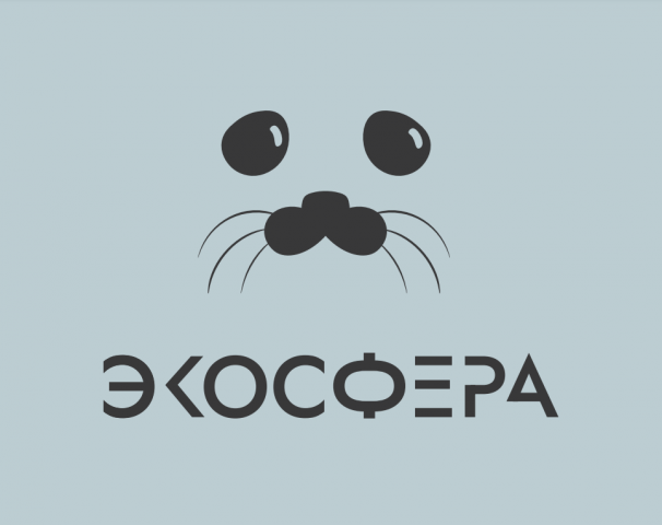 Фирменный стиль  и сайт национального парка
