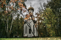 Работа 353649