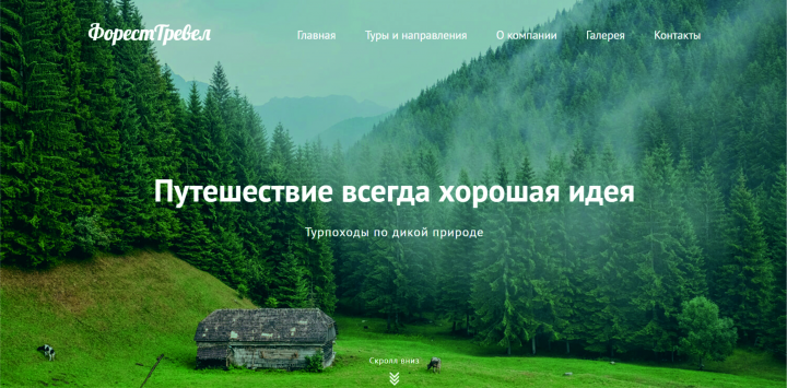 Forest Travel