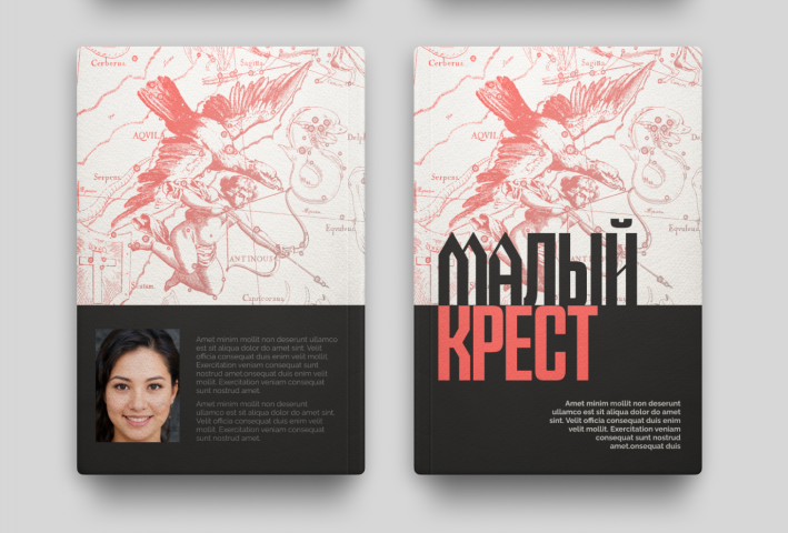 Дизайн обложки книги